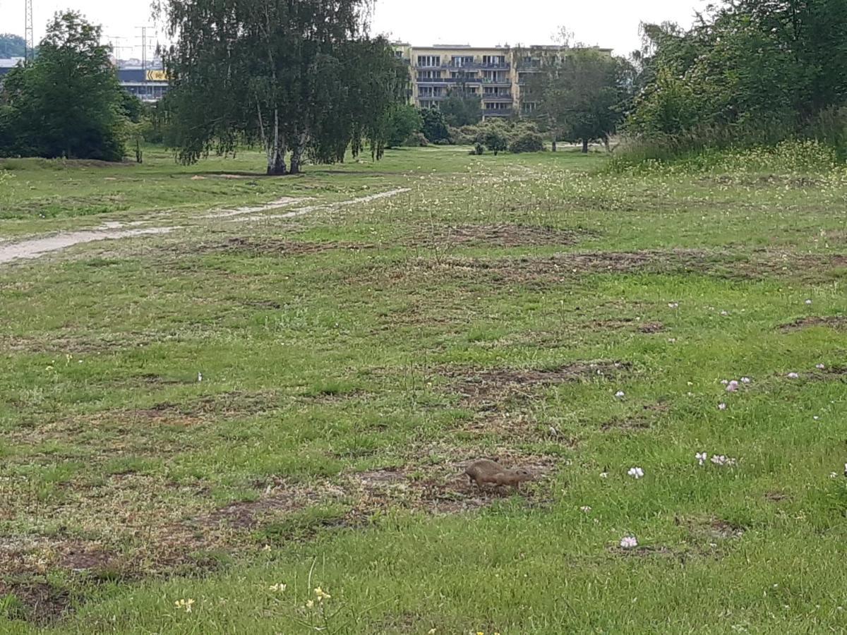Park Radouc - 60m2 Apartment Mlada Boleslav